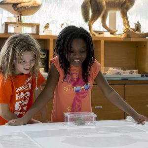 Children learning about a turtle at NC Museum of Natural Sciences