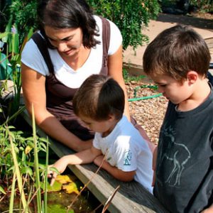 Children outside learning about plants