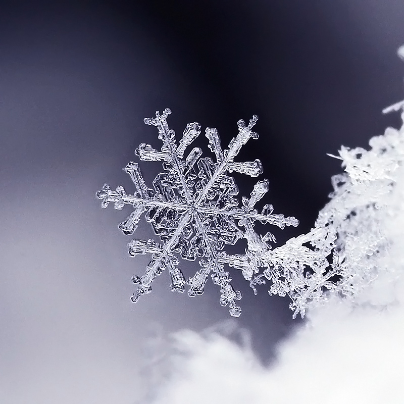 snowflake close-up